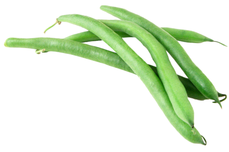 Beans