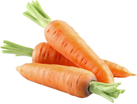 Carrot