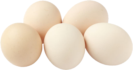 Egg