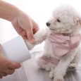 Portable Paw Cleaner Cup For Small Dog