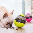 IQ Ball For Dogs