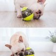 IQ Ball For Dogs