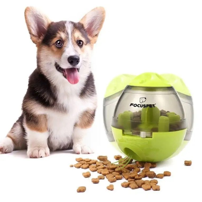 focuspet-iq-treatball